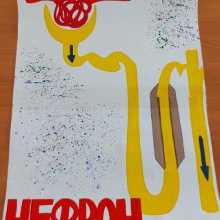 Немой рисунок "Схема строения нефрона"