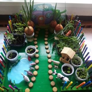 Огород на подоконнике