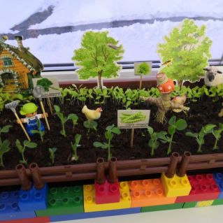 Наш сад, огород.