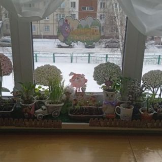 Огород на окне старшей группы "Огород Смешариков"