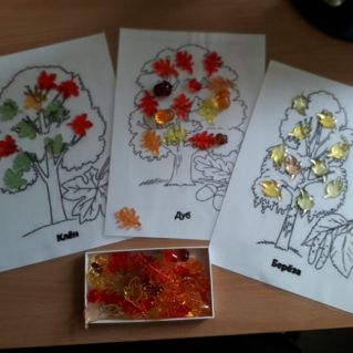 "С какого дерева лист"