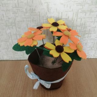 Цветы на подарок