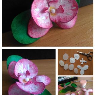 Цветок орхидеи