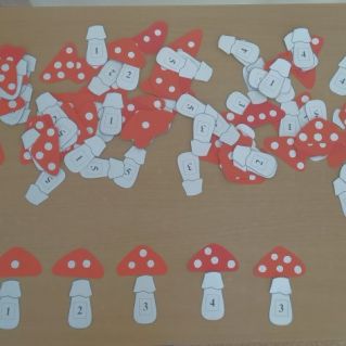 раздаточный материал по ФЭМП "Грибы"