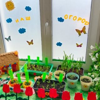 Огород на подоконнике