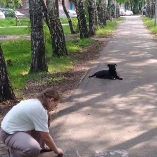 "Утром в парке"