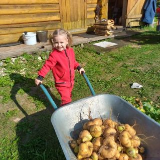 "Труд - польза для здоровья"