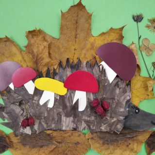 Коллективная аппликация в младшей группе  "Запасливый ежик"