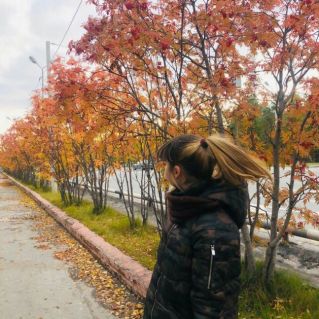 Северные рябинки.