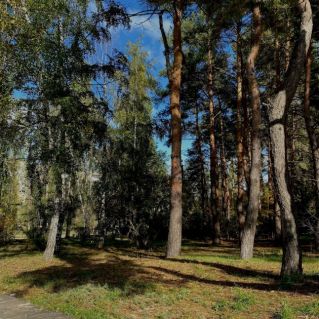 Прогулка по парку "Танаис"