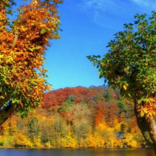 “Осеняя сказка “