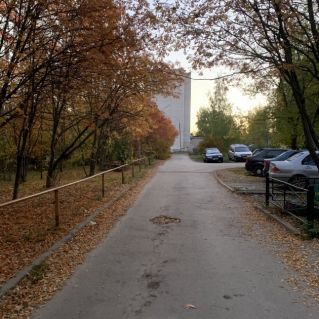 Осенние краски