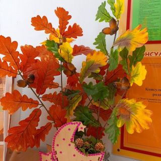 "Осенние мотивы"