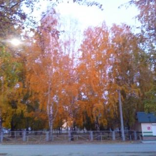 "Краски осени"