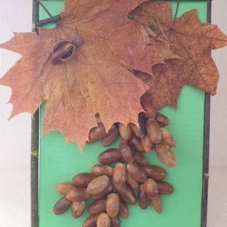 Осенний натюрморт