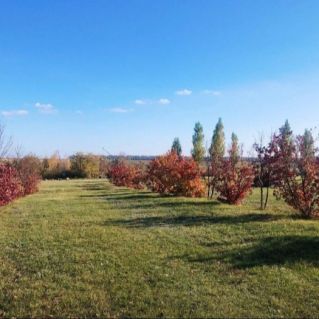 Осеннее дуновение