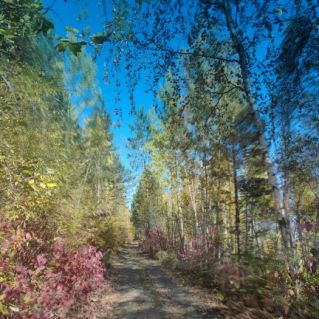 Авторская фотография " Сибирская осень"