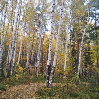 Русская осень