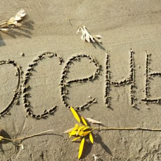 Лето, прощай