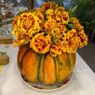 Краски осени