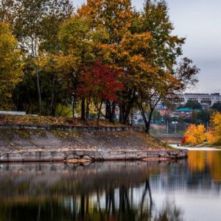 Золотистая осень.