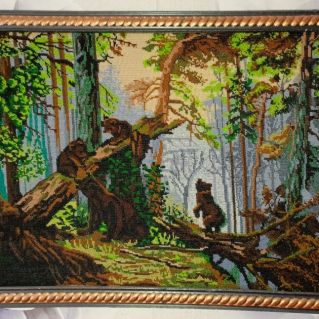 Утро в сосновом лесу