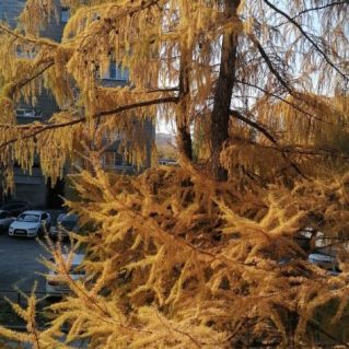 "Волшебница осень!"