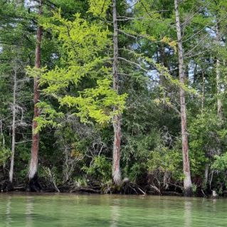 О, чудный Байкал, Священное море!