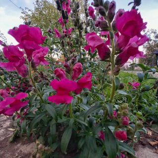 Осенние краски !