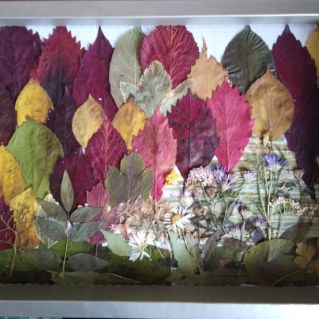 "Утро в осеннем лесу"