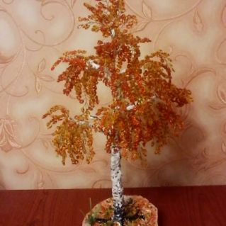 Золотая осень. Березка.