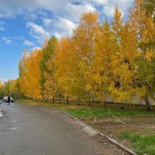 "Золотая пора"