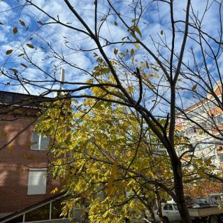 Краски осени