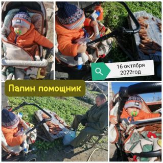 Папин помощник