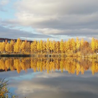 Волшебница-осень в моём городе