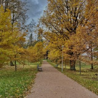 Осенняя аллея