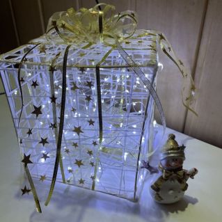 Однажды зимой