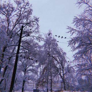 Красота русской зимы