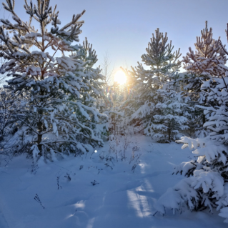 Зимний пейзаж