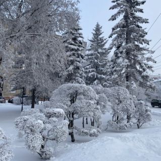 Снежное царство