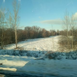 Вот такая солнечная зима