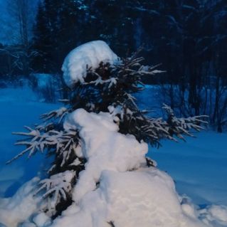 Причуды природы.