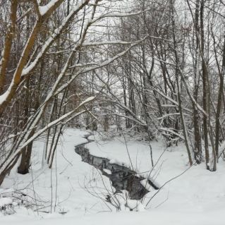 Зимняя сказка