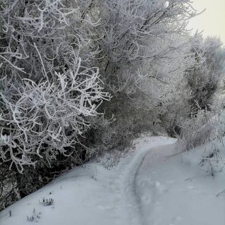 Снежный наряд