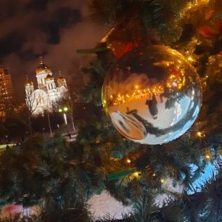 Красота зимы