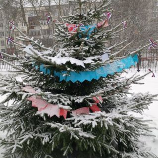 "Новогодняя красавица"