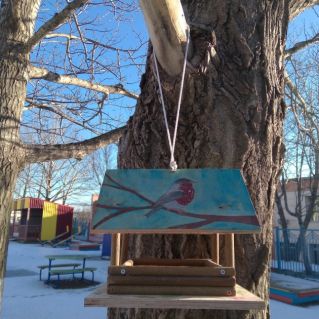 Зимняя столовая для пернатых открыта!