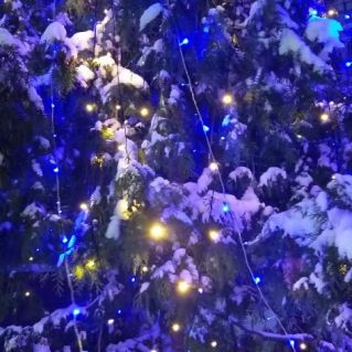 "Ёлочка укрыта одеялом снежным"