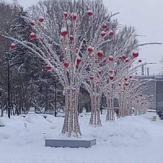 "Зимние яблоки"