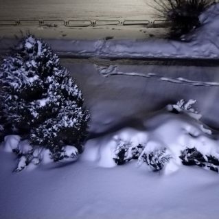 Белым снегом все замело.